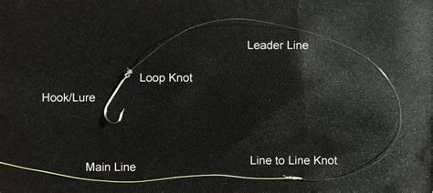 Fishing Leaders 101: This Is Why, When And How They’re Used!.